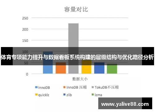 体育专项能力提升与数据看板系统构建的层级结构与优化路径分析