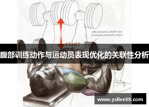 腹部训练动作与运动员表现优化的关联性分析