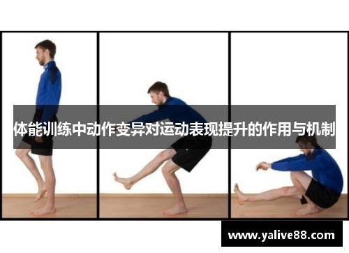 体能训练中动作变异对运动表现提升的作用与机制